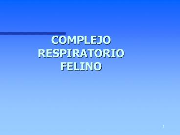 COMPLEJO RESPIRATORIO FELINO