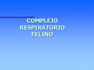COMPLEJO RESPIRATORIO FELINO