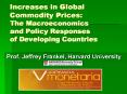 Increases in Global Commodity Prices: The Macroeconomics and Policy Responses of Developing Countries PowerPoint PPT Presentation