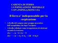 Il ferro e PowerPoint PPT Presentation