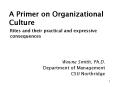 A Primer on Organizational Culture PowerPoint PPT Presentation