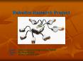 Robotics Research Project PowerPoint PPT Presentation