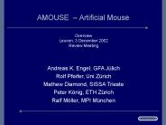 AMOUSE 
