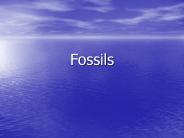 Fossils