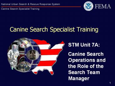 Canine Search Specialist Training