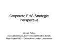Corporate EHS Strategic Perspective PowerPoint PPT Presentation