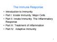 The Immune Response: PowerPoint PPT Presentation