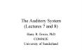 The Auditory System (Lectures 7 and 8) PowerPoint PPT Presentation