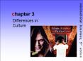 Differences in Culture PowerPoint PPT Presentation