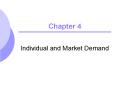 Individual and Market Demand PowerPoint PPT Presentation
