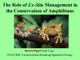 The Role of Ex-Situ Management in the Conservation of Amphibians PowerPoint PPT Presentation