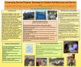 Community Service Projects: Doorways for Student Self-Discovery and Service PowerPoint PPT Presentation
