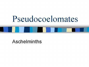 Pseudocoelomates