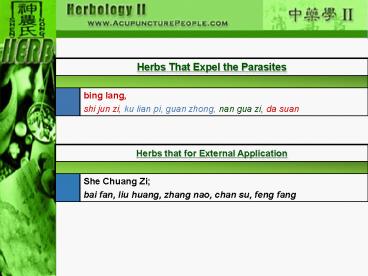 Development of TCM Internal Medicine