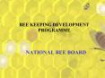 BEE KEEPING DEVELOPMENT PROGRAMME PowerPoint PPT Presentation