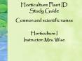 Horticulture Plant ID Study Guide PowerPoint PPT Presentation