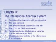 Chapter X: The international financial system