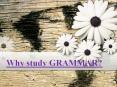 Why study GRAMMAR? PowerPoint PPT Presentation