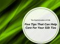 The Sophistication of Silk: Five Tips That Can Help You Care For Your Silk Ties PowerPoint PPT Presentation