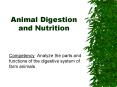 Animal Digestion and Nutrition PowerPoint PPT Presentation