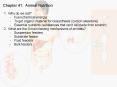 Chapter 41: Animal Nutrition PowerPoint PPT Presentation