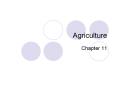 Agriculture PowerPoint PPT Presentation