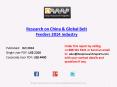 Belt Feeders Research Market on Global & China 2014 PowerPoint PPT Presentation