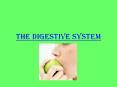 THE DIGESTIVE SYSTEM PowerPoint PPT Presentation