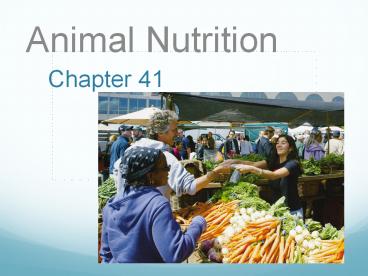 Animal Nutrition