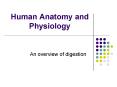 Human Anatomy and Physiology PowerPoint PPT Presentation