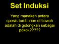 Set Induksi PowerPoint PPT Presentation