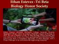 Ethan Estevez -Tri Beta Biology Honor Society PowerPoint PPT Presentation