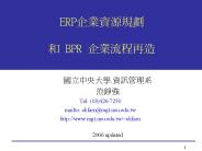 ERP?????? ? BPR ??????