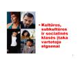 Kulturos, subkulturos ir socialines klases itaka vartotojo elgsenai PowerPoint PPT Presentation