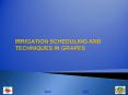 IRRIGATION SCHEDULING AND TECHNIQUES IN GRAPES PowerPoint PPT Presentation