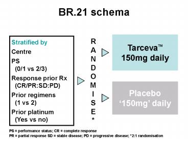 BR.21 schema