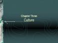Chapter Three Culture PowerPoint PPT Presentation