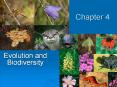 Evolution and Biodiversity PowerPoint PPT Presentation