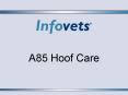 A85 Hoof Care PowerPoint PPT Presentation
