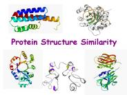 Protein Structure Similarity