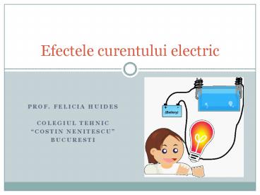 Prof. Felicia Huides