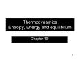 Thermodynamics Entropy, Energy and equilibrium PowerPoint PPT Presentation