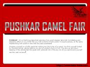 Pushkar Camel Fair - 2014