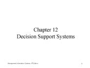 Chapter 12 Decision Support Systems