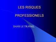 LES RISQUES  PROFESSIONELS