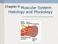 Muscular System: Histology and Physiology PowerPoint PPT Presentation