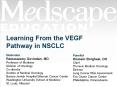 Learning From the VEGF Pathway in NSCLC PowerPoint PPT Presentation