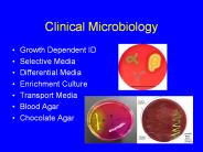 Clinical Microbiology