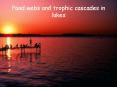 Food webs and trophic cascades in lakes PowerPoint PPT Presentation