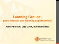 Learning Groups:  good directed self-learning opportunities? PowerPoint PPT Presentation